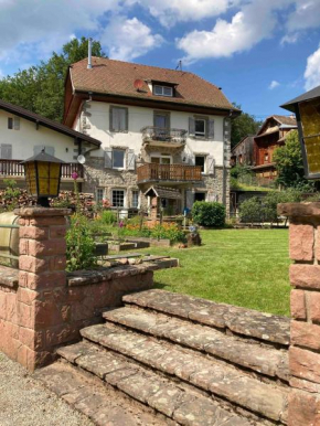 Aux Gîtes de l'Étang - Thannenkirch Bergheim